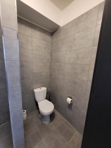 a bathroom with a white toilet in a room at City Center Apartments - Moderna Brno Římské náměstí IV in Brno