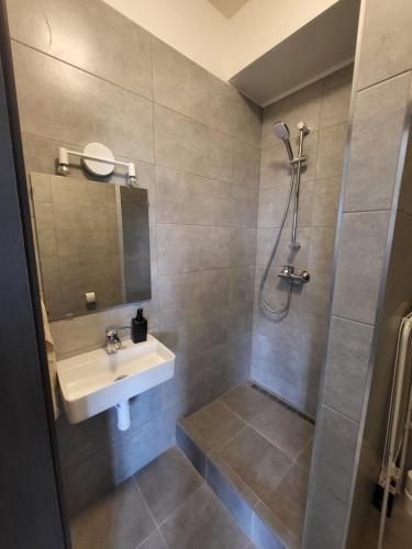 a bathroom with a sink and a shower at City Center Apartments - Moderna Brno Římské náměstí IV in Brno