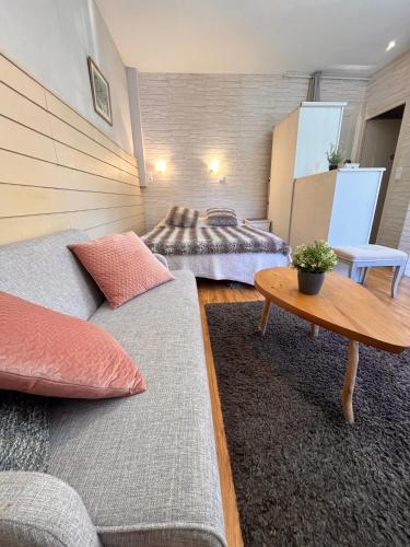 un salon avec un canapé et un lit dans l'établissement Charmant studio avec jardin, 2pers, centre-ville, à Cauterets