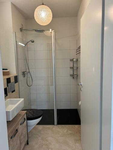 a bathroom with a shower and a toilet and a sink at Traumhafte Attikawohnung in Wallisellen
