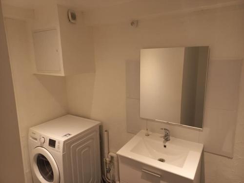 une salle de bain avec une machine à laver et un lavabo dans l'établissement Appt T2 Parking Jardin N7 motte, à Tourcoing