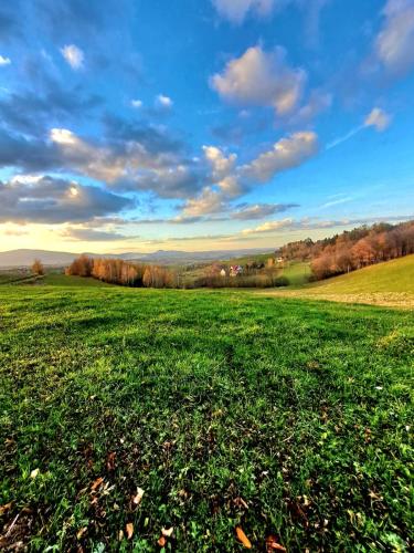a field of green grass with a cloudy sky at Górska Otulina in Wilkowisko