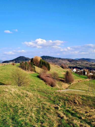 a field with green grass and trees in the distance at Górska Otulina in Wilkowisko