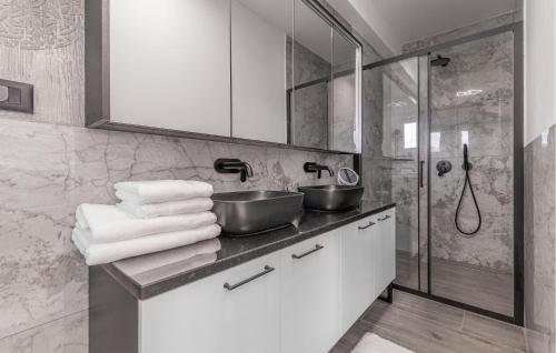 a bathroom with a sink and a shower at Nice Home In Labin With Sauna in Labin