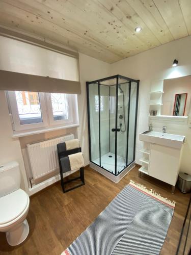 a bathroom with a shower and a toilet and a sink at Lodge Seppaler - Sommerkarte Premium inklusive in Sankt Anton am Arlberg