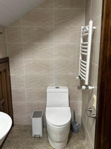 a bathroom with a toilet and a sink at Bakuriani Cottages in Bakuriani