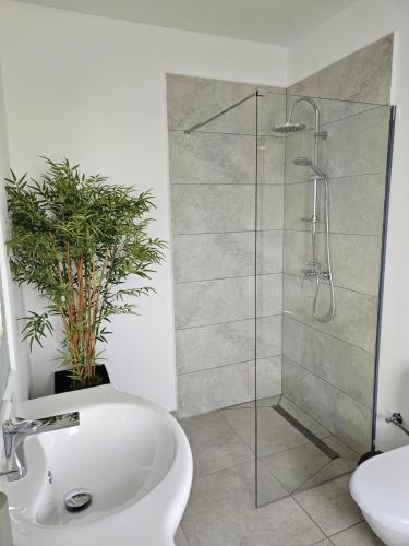 a bathroom with a shower with a sink and a toilet at Casa Mariana in Murighiol