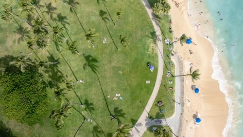 an overhead view of people on the beach at Luana Waikiki Hotel & Suites in Honolulu
