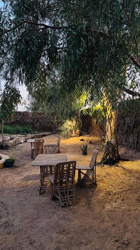 a picnic table and chairs under a tree at Almaza Camp in Siwa