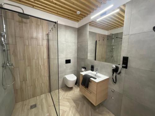 a bathroom with a shower and a sink and a toilet at Pod Błękitnymi Podkowami in Wrocław
