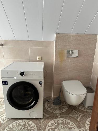 a washing machine in a bathroom with a toilet at Bakuriani Cottages in Bakuriani