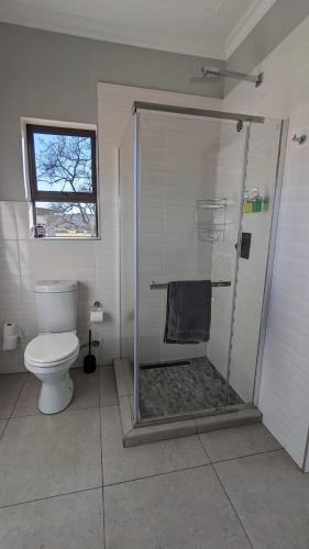 a bathroom with a shower and a toilet at Umlingo Lodge in Melkrivier