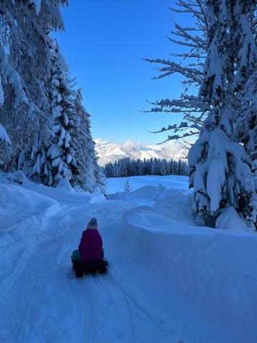a person riding a sled down a snow covered road at Bioberghof Rohr in Fieberbrunn