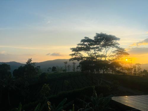 a sunset over a hill with a tree on a field at Best Mist in Idukki