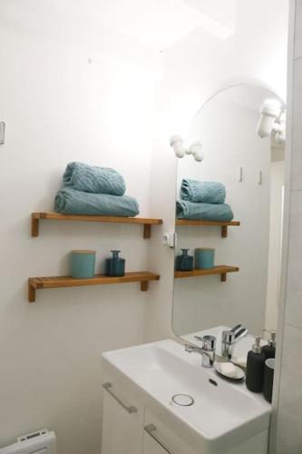 une salle de bain avec un lavabo, un miroir et des serviettes dans l'établissement Monnaie,Vieux-Lille, Unique, Neo-Vintage, à Lille