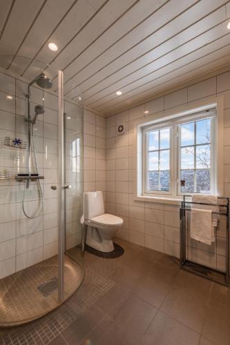 a bathroom with a shower and a toilet and a window at Sunny and beautiful cabin in Geilo in Geilo