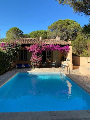 une maison avec une piscine ornée de fleurs violettes dans l'établissement Charmant vakantiehuis in Gigaro met zwembad, à La Croix-Valmer