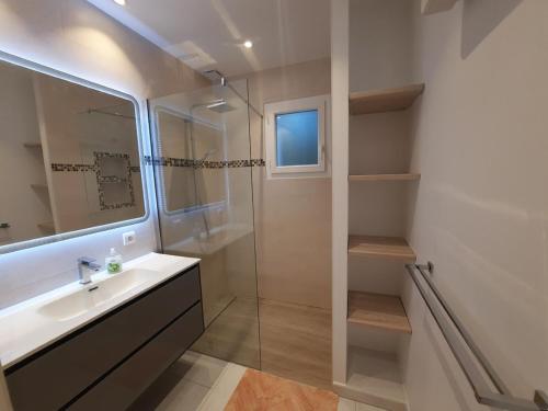 un baño con lavabo y ducha en Logement indépendant C & D, en Lorgues