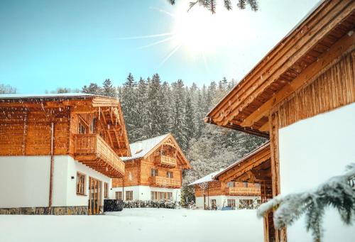 Luxury Chalets Gradenbach near Schladming