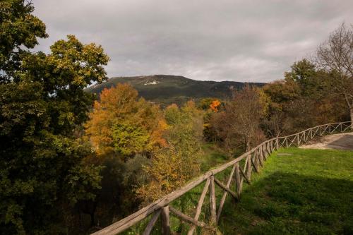 a wooden bridge in the middle of a forest at Tenuta La Radicale - ZENO 61 intera villa in Subiaco