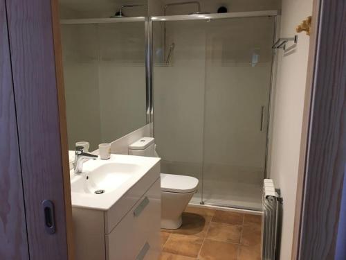 a bathroom with a shower and a sink and a toilet at Cal Barné, acogedor alojamiento con jardín en Das in Das