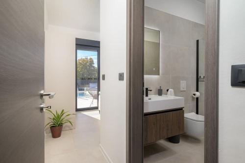 une salle de bain avec un lavabo, des toilettes et un miroir dans l'établissement Villa Lamia by IstriaLux, à Burići