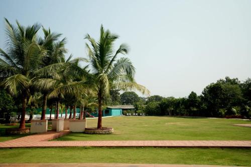 a row of palm trees in a park at Raaj Resort in Panvel