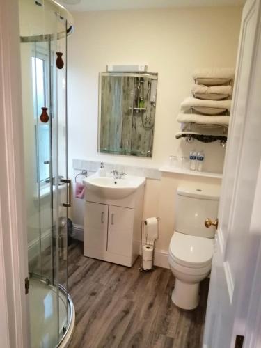 a bathroom with a toilet and a sink and a shower at Lion Hotel in Llanbister
