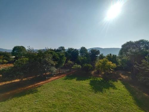 an overhead view of a field with trees and the sun at Sariska Farms in Tehla