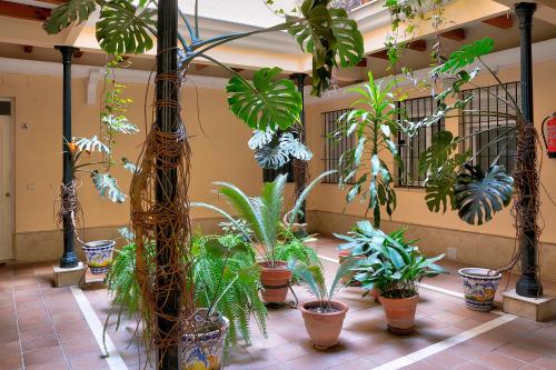 Patio Privado Antolinez - Historic Center Sevilla Apartment