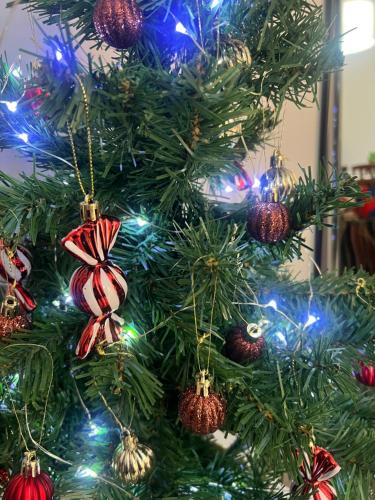 Fotografie z fotogalerie ubytování VICOLO CORTO Centro Storico Holiday & Home-Office v destinaci Velletri