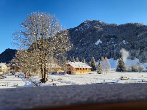 een huis in een met sneeuw bedekt veld met een boom bij La Casa del Mulino in Pozza di Fassa