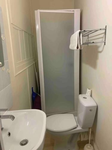 une salle de bain blanche avec des toilettes et un lavabo dans l'établissement Studio moderne à Néris-les-Bains de 17 m², à Néris-les-Bains