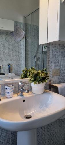a bathroom with a sink with a potted plant on it at La vie en rose flat in Sestri Levante