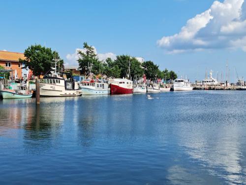 a group of boats are docked in a harbor at Hotel Restaurant Nordpol in Heiligenhafen
