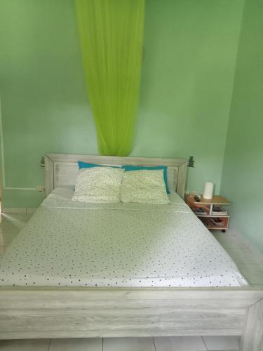 a bedroom with a large bed with a green curtain at Villa Grandes pièces in Petit-Bourg