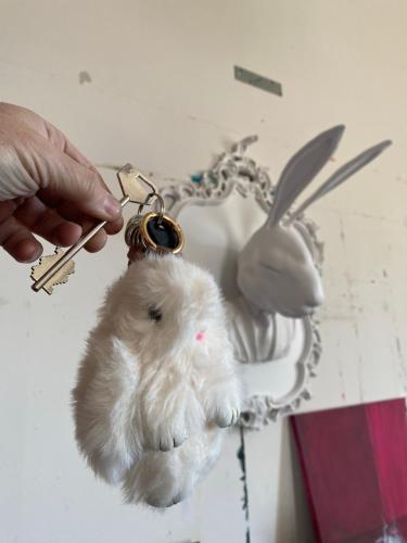 Attico White Rabbit photo 17