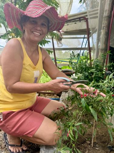 Tetamu yang menginap di Dikub Farmhouse