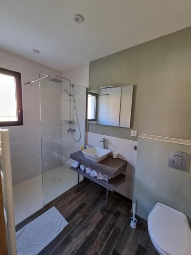 a bathroom with a sink and a shower and a toilet at L'éden des Baronnies in Mirabel-aux-Baronnies
