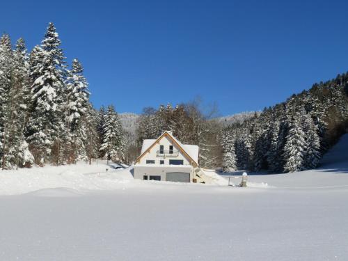 a house in a snow covered field with trees at Studio La Résilience, au pied des pistes à Autrans in Autrans