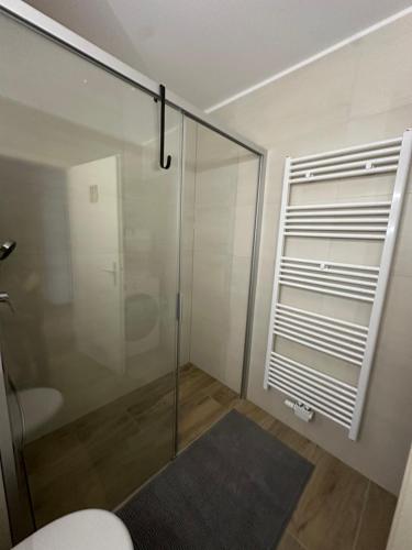a bathroom with a glass shower and a toilet at Familienfreundliche FEWO in bester Lage in Offenburg