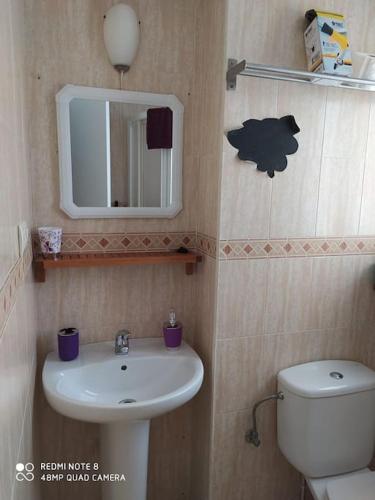 a bathroom with a sink and a toilet and a mirror at Eli's Home in Málaga