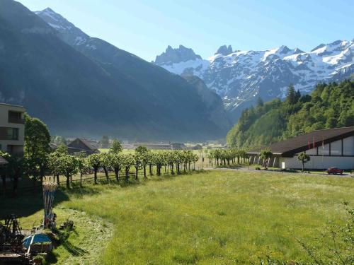 a field with trees and mountains in the background at Apartment Près du Bahnhof by Interhome in Engelberg