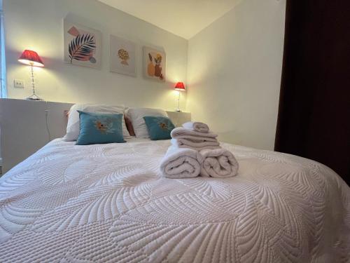 Ένα ή περισσότερα κρεβάτια σε δωμάτιο στο Appartement spacieux dans maison bourgeoise avec grande terrasse et jardin privatif ombragé, à 10 min à pied du centre-ville