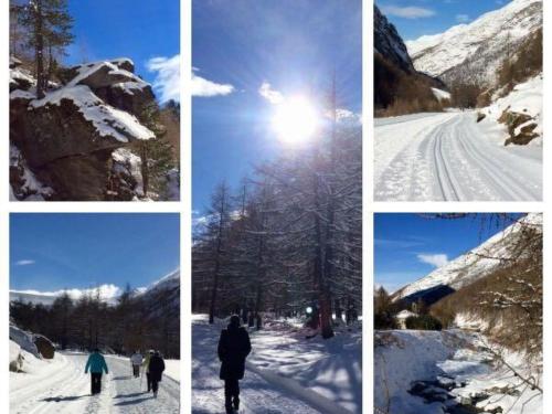 Un groupe de quatre photos de personnes skier dans la neige dans l'établissement Apartment Miranda by Interhome, à Saas-Almagell