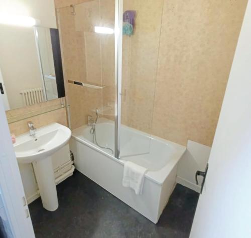 une salle de bain avec une baignoire et un lavabo dans l'établissement Loft moderne à Reims, à Reims