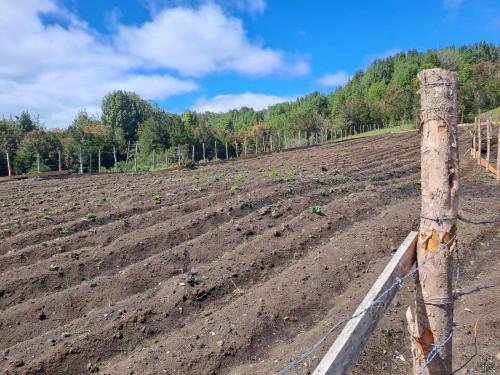 Paisaje cerca of this country house