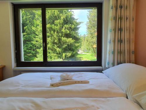 a bed with a towel on it in front of a window at Apartment Belmont Seegarten by Interhome in Lenzerheide