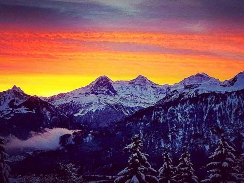 a sunset over a mountain range with snow covered mountains at Apartment Lilo-4-Zimmer by Interhome in Beatenberg