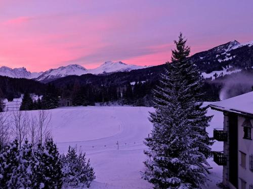 a christmas tree in the snow in front of a mountain at Apartment Stgirat Bellaval by Interhome in Valbella